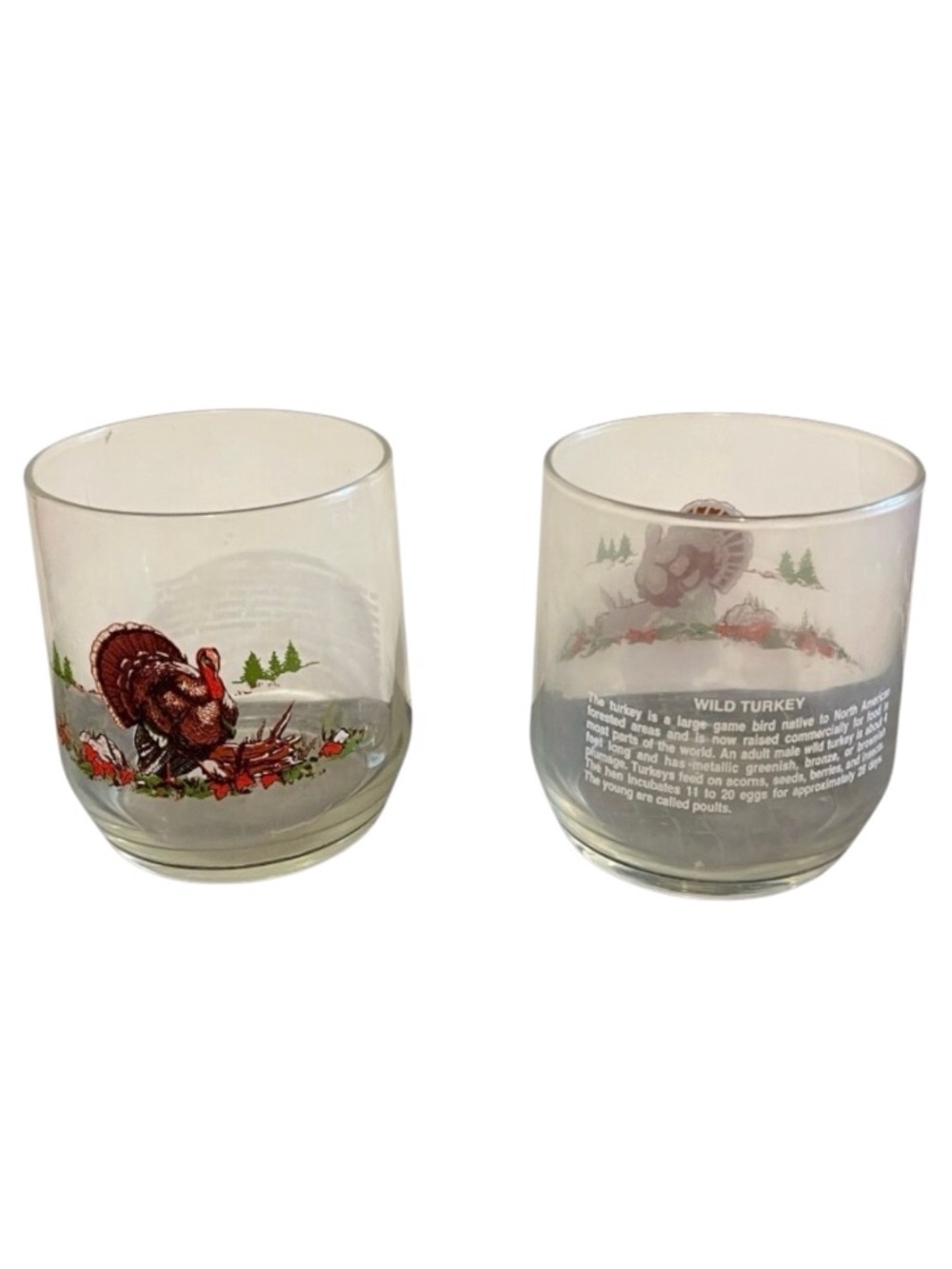 Vintage Sunco American Wildlife Wild Turkey Glasses. Set of 2.